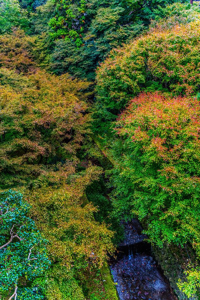 Colorful foliage, Tofuku-ji Buddhist temple, Kyoto, Japan. Famous for its autumn leaves.